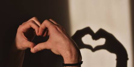 A set of hands creating the shape of a heart which create a shadow on the wall behind.