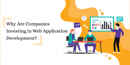 Why Are Companies Investing in Web Application Development?