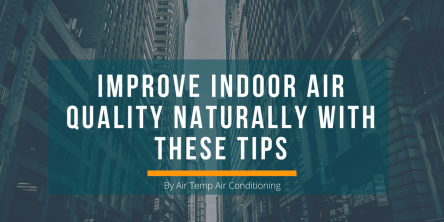 5 Tips to Improve Indoor Air Quality Naturally