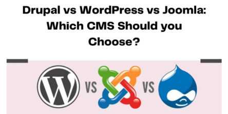 Drupal vs WordPress vs Joomla: Which CMS Should you Choose?